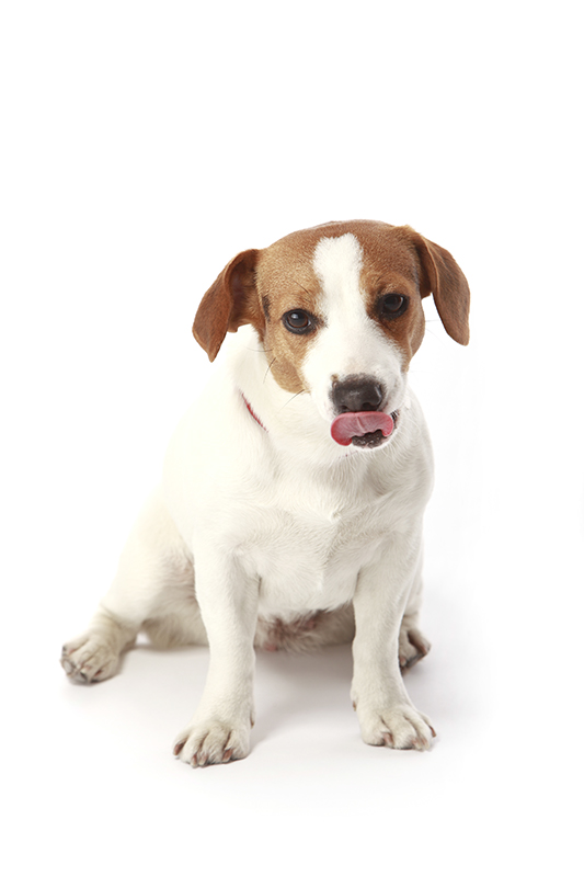 %_tempFileNameBF110323_8483%